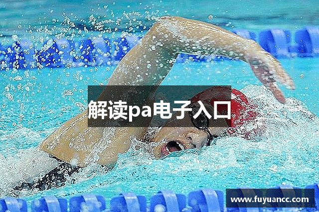 解读pa电子入口
